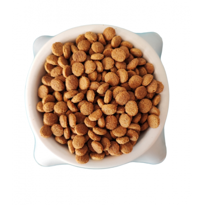 Royal Canin Kısır Kedi Maması (Açık Mama)