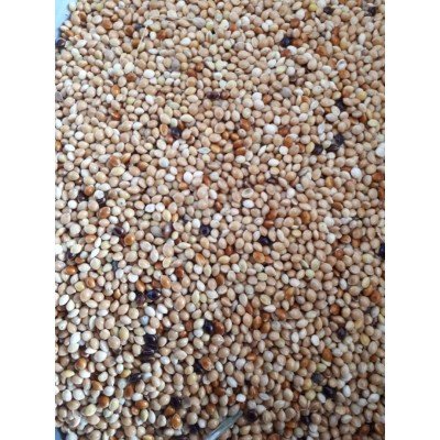 Muhabbet Karışık Yemi 1 KG