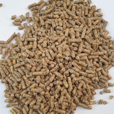 Tavuk Yumurta Yemi Pelet (Açık Yem)