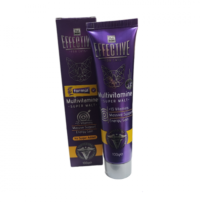 Effective Multivitamin Malt Paste 100 GR