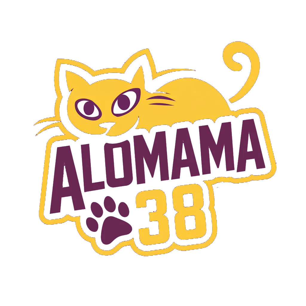 Alo Mama Kayseri